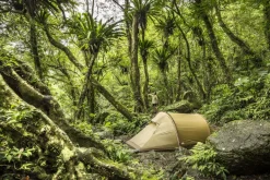 Fjallraven Abisko Lite 3 Tent - Pine Green