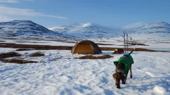 Hilleberg Allak 2 Tent - Green