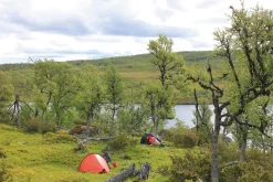 Hilleberg Enan Tent - Green