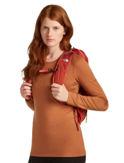 Icebreaker Womens 200 Oasis LS Crewe Top - Dusty Clay