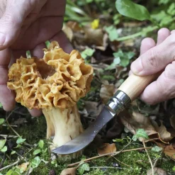 Opinel No.8 Mushroom Knife