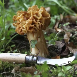 Opinel No.8 Mushroom Knife