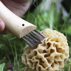 Opinel No.8 Mushroom Knife