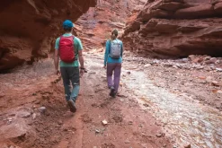 Osprey Daylite Rucksack - Black