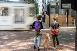 Osprey Daylite Waist Pack - Black