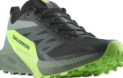 Salomon Mens Sense Ride 5 Shoes - Black-Laurel Wreath-Green Gecko