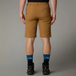 The North Face Mens Tanken Shorts - Utility Brown