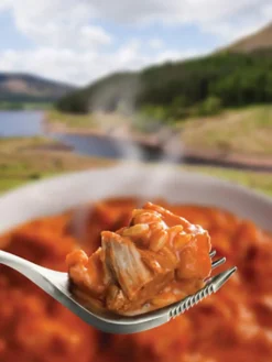 Wayfayrer Chicken Tikka and Rice