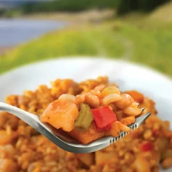 Wayfayrer Vegetable Curry and Rice