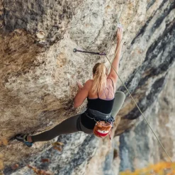 YY Vertical Chalk Bag - Shiba Inu