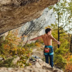 YY Vertical Chalk Bag - Shiba Inu